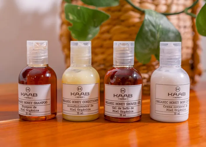 Collection O Kaab Downtown Hotel Tulum
